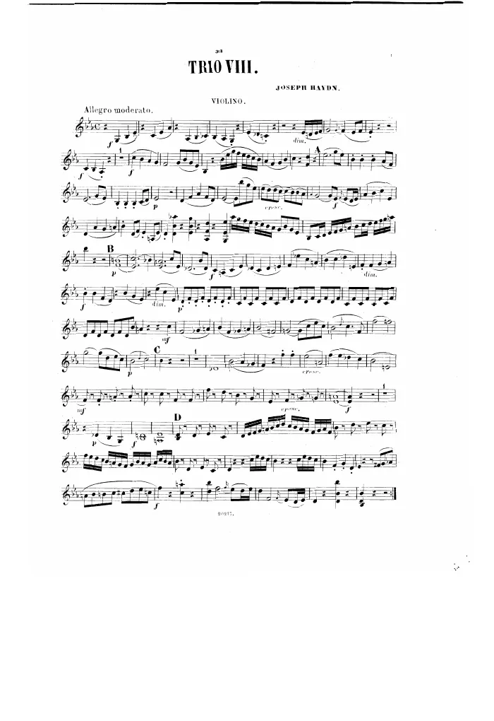 Violin