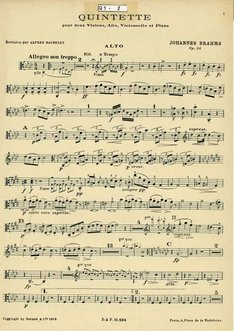Viola