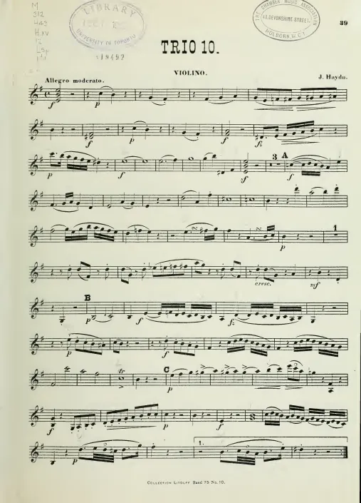 Violin