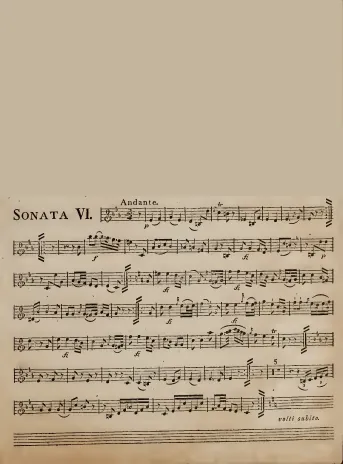 Violin