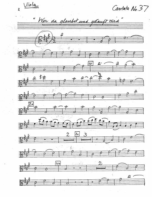 Violas