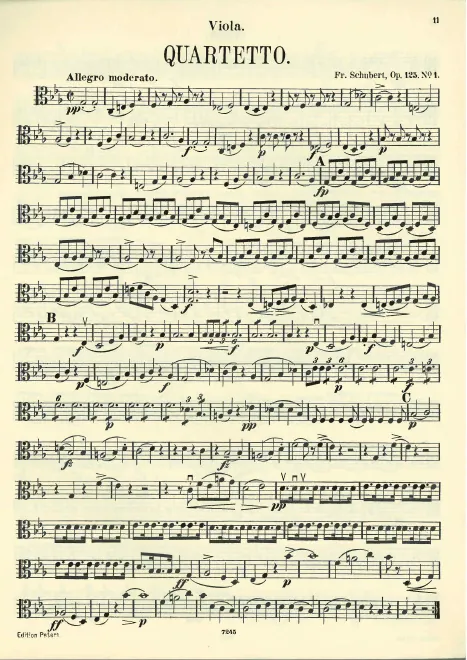Viola