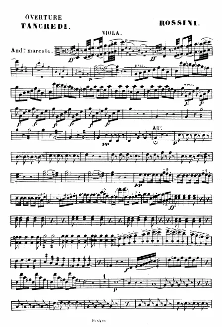 Violas