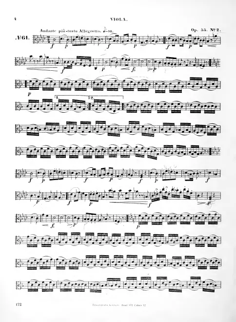 Viola