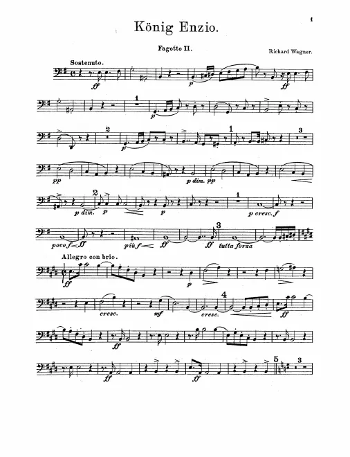 Bassoon 2