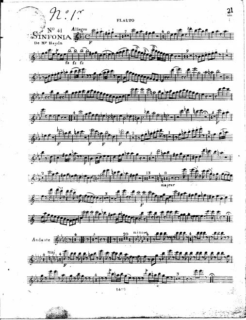 Flute