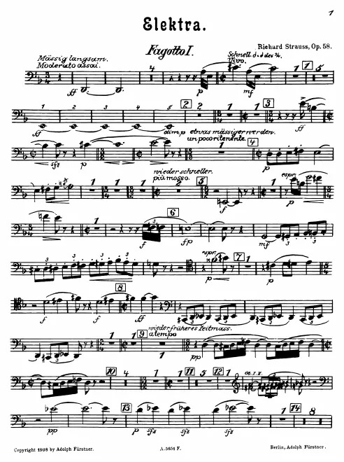 Bassoon 1