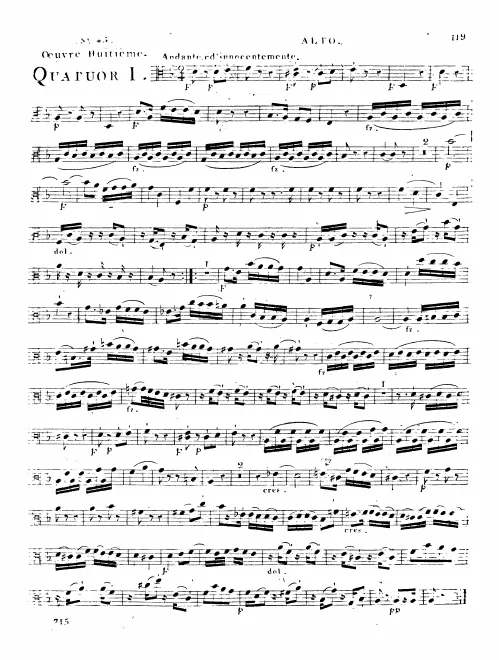 Viola