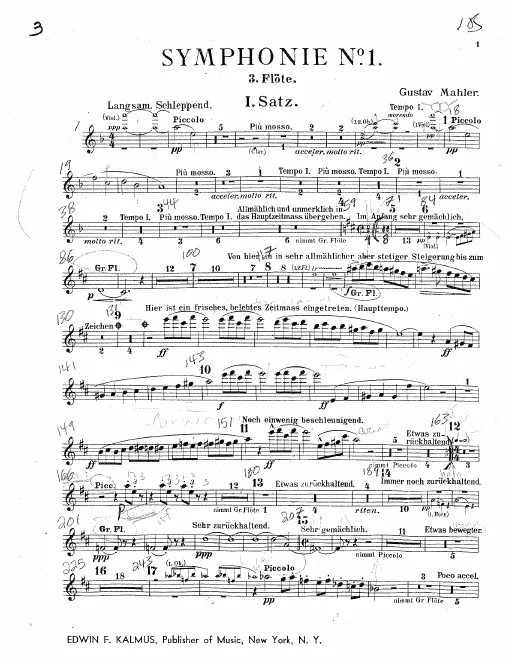 Flute 3