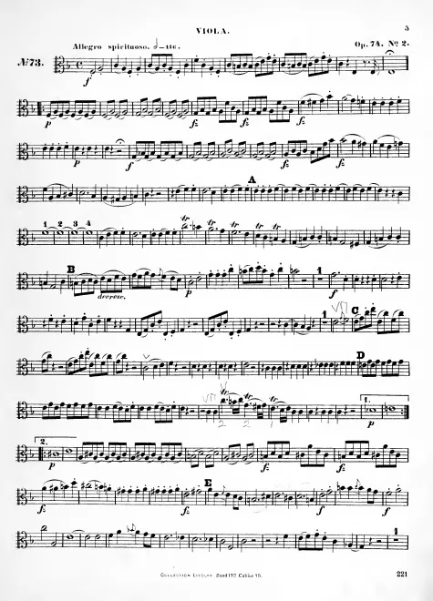 Viola