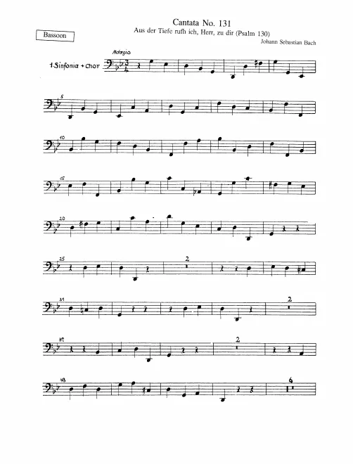 Bassoon