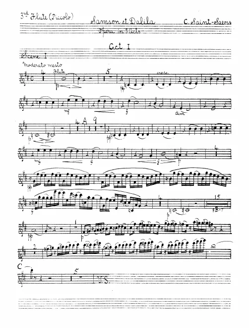Flute 3/Piccolo