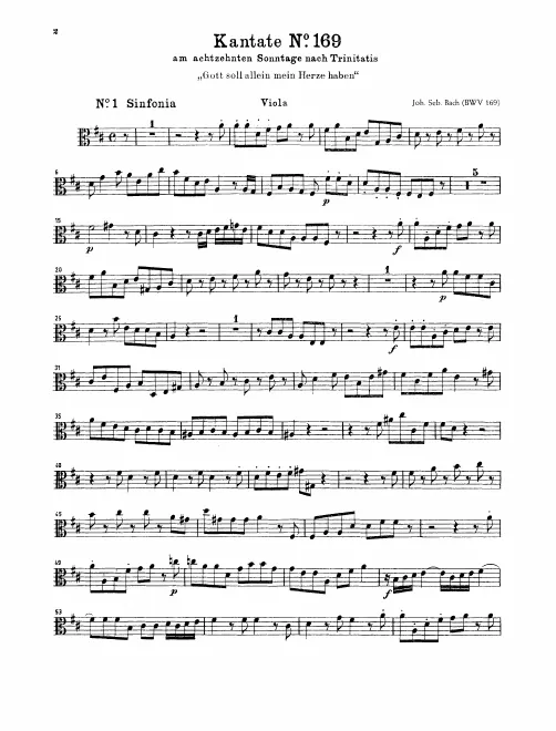 Violas