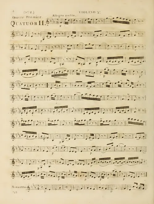 Violin 2