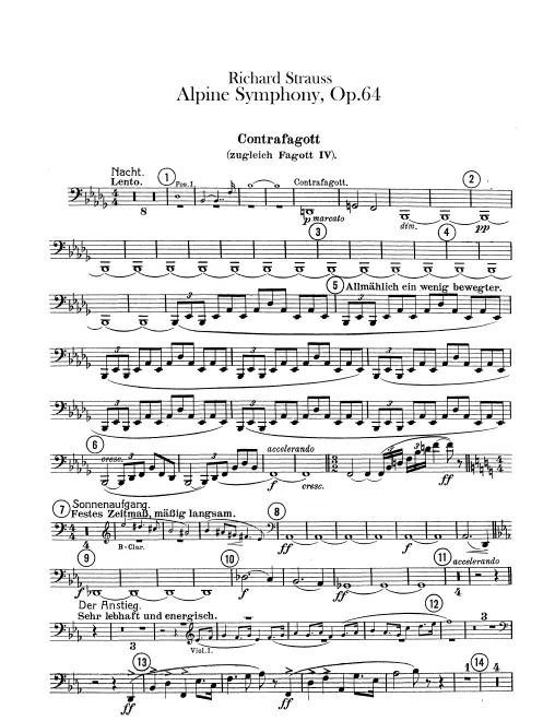 Bassoon 4/Contrabassoon