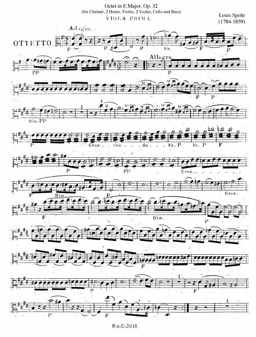 Viola 1