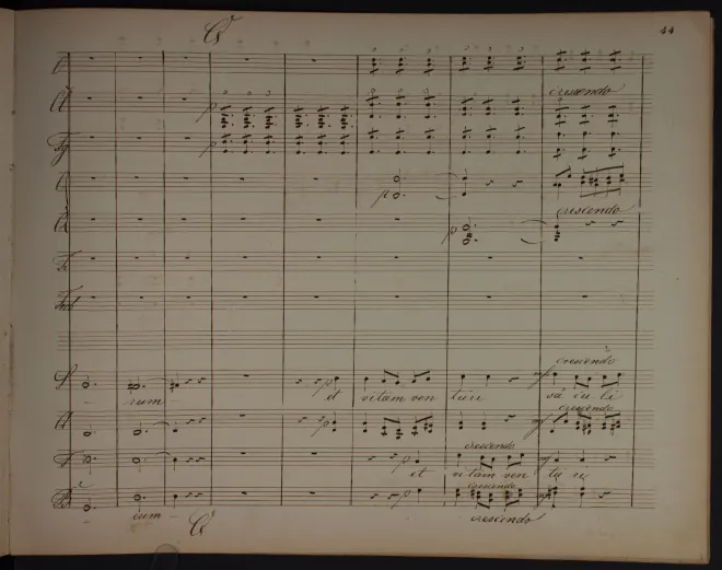 Segment 3