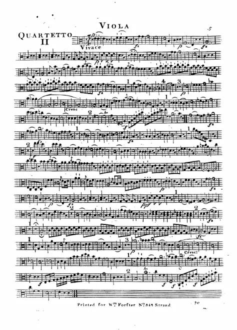 Viola