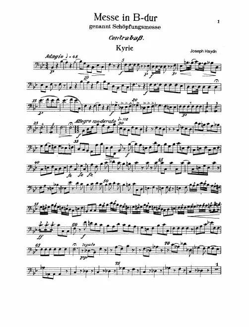 Double Basses
