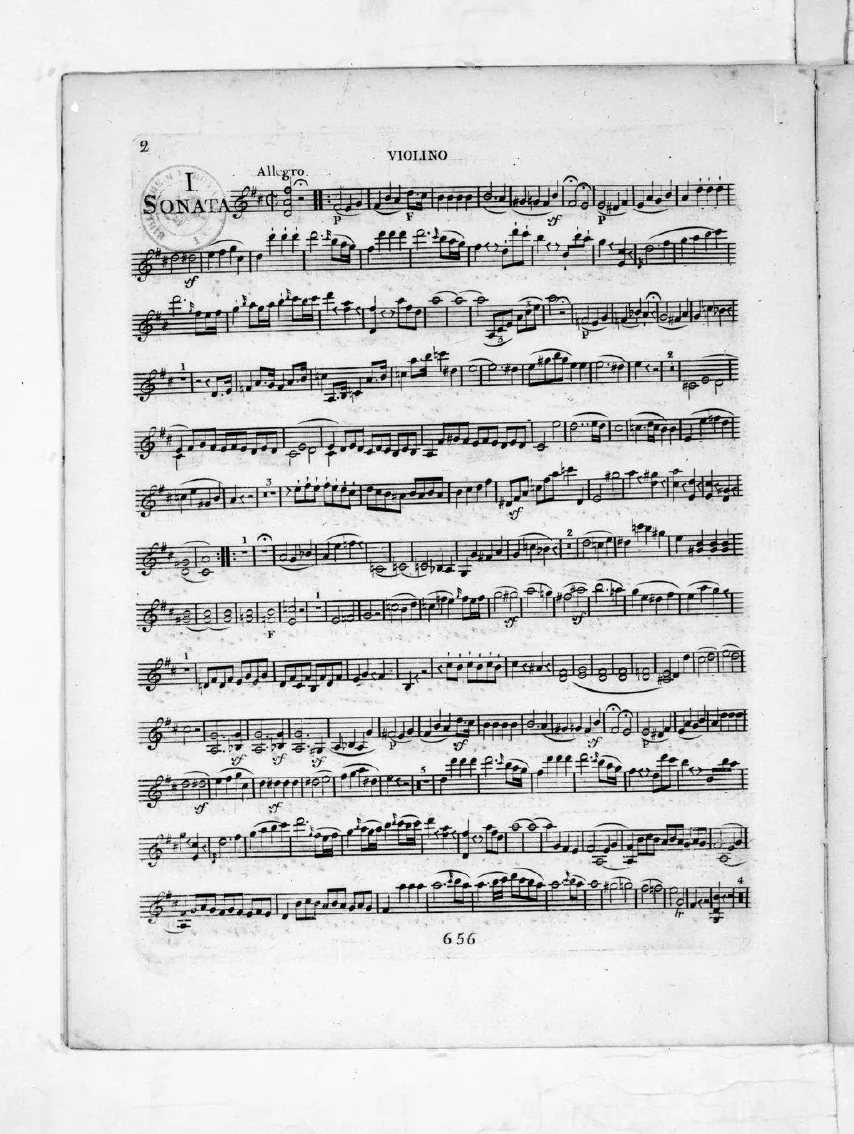 Violin