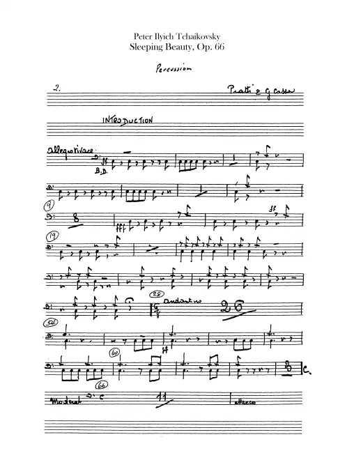 Percussion (Cymbals, Bass Drum, Triangle, Tambourine, Bells, Tambour, Tam-Tam)