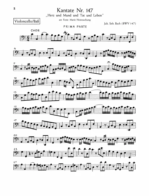 Cellos/Basses