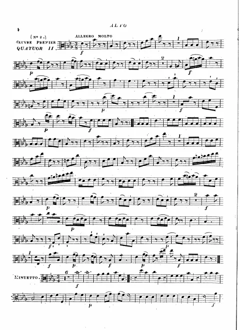 Viola