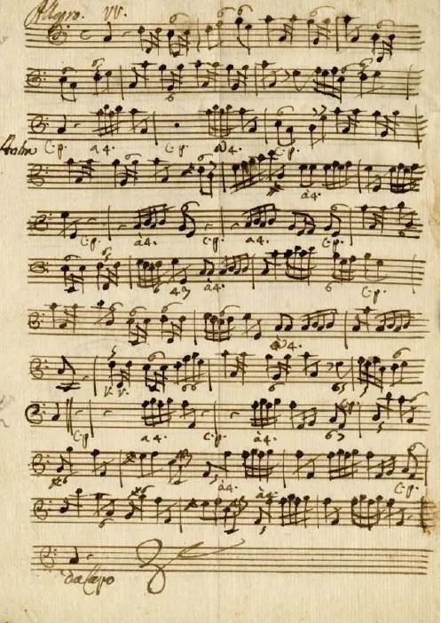 Continuo (Cellos, Basses, Keyboard)