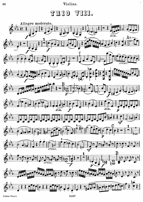 Violin