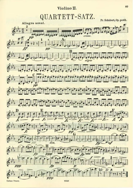 Violin 2