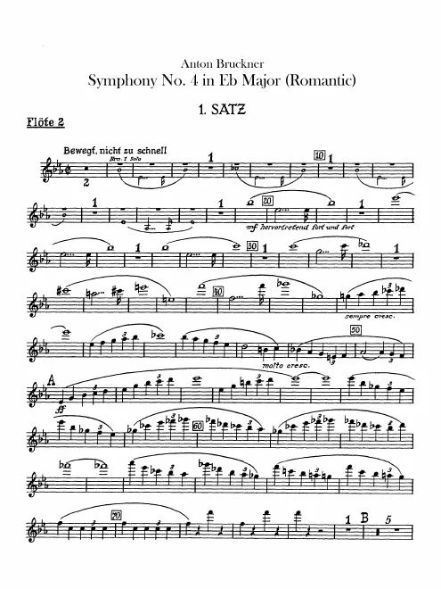 Flute 2