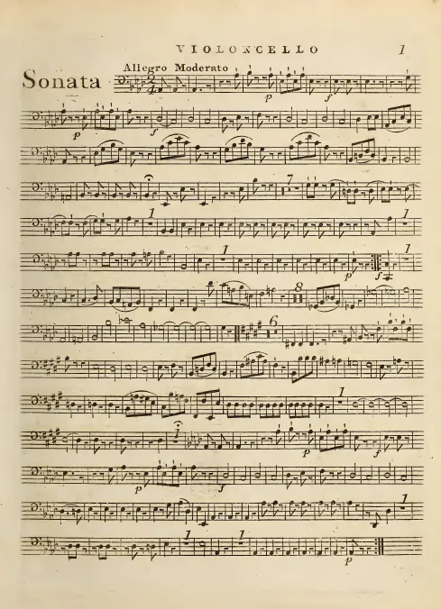 Cello