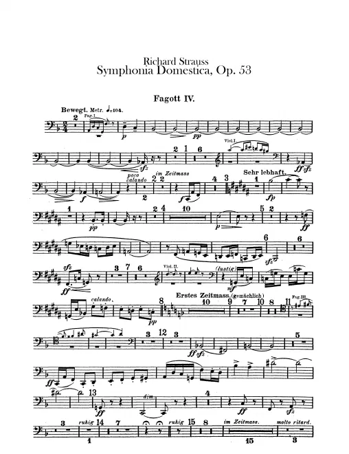 Bassoon 4