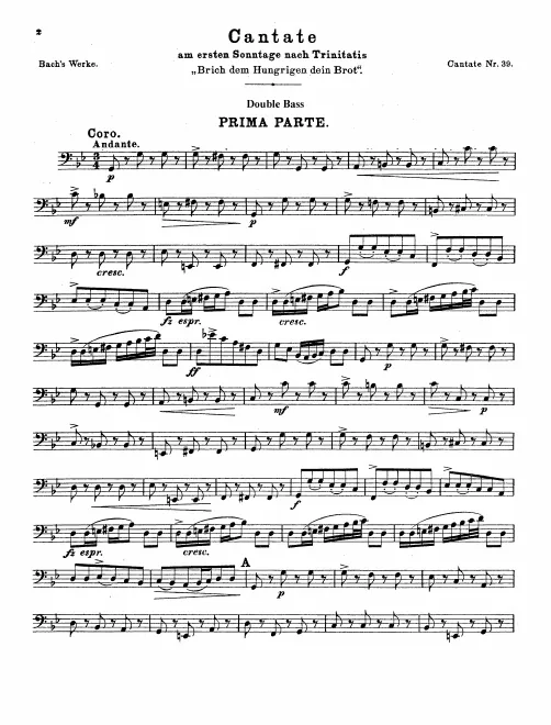 Basses