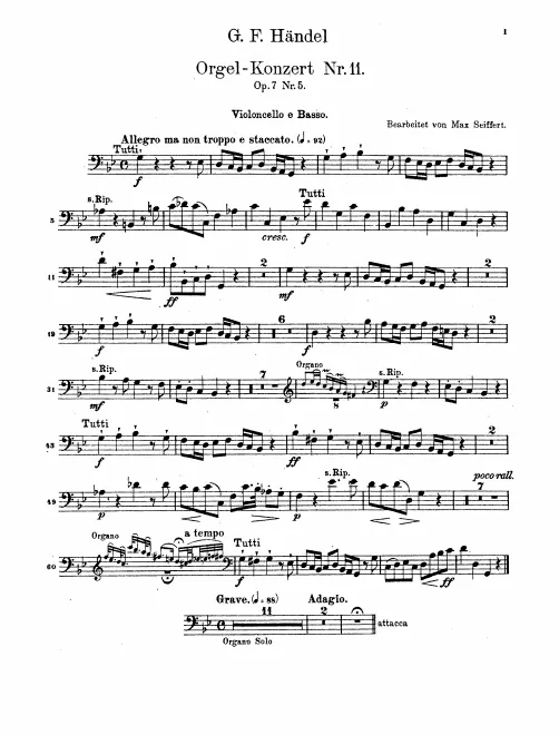 Cellos/Basses