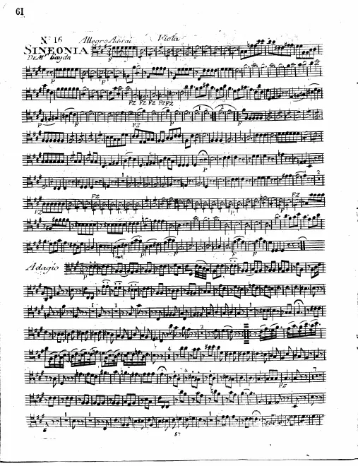 Violas