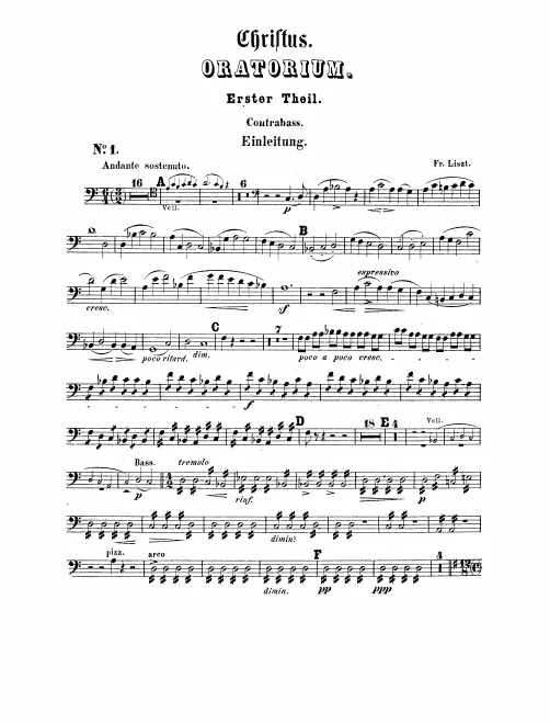 Basses