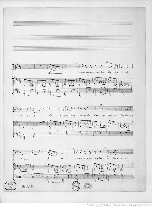 II. Ave Verum (version in D)
