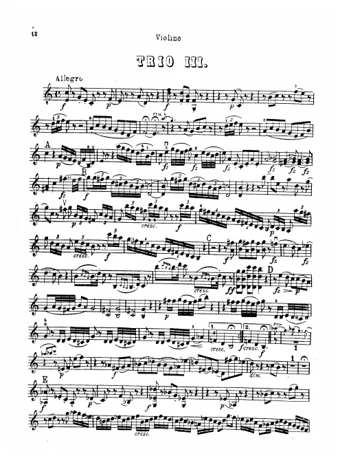 Violin