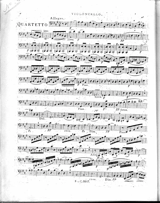Cello