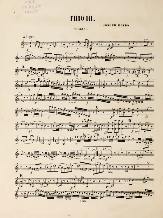 Violin