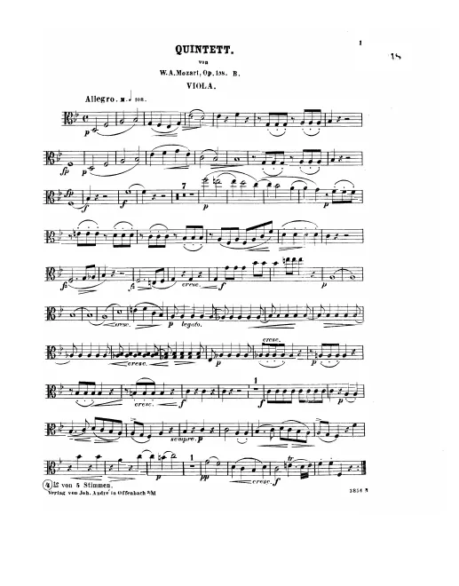 Viola