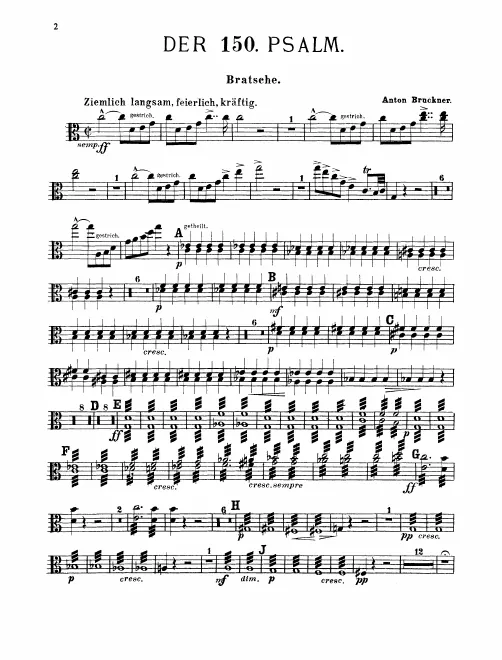 Violas