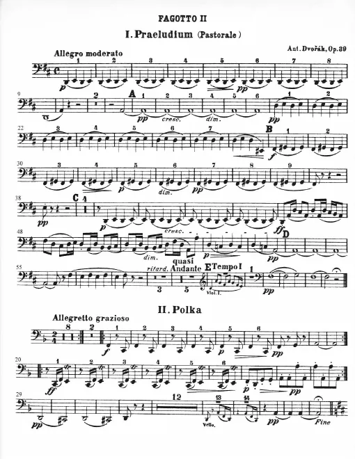 Bassoon 2