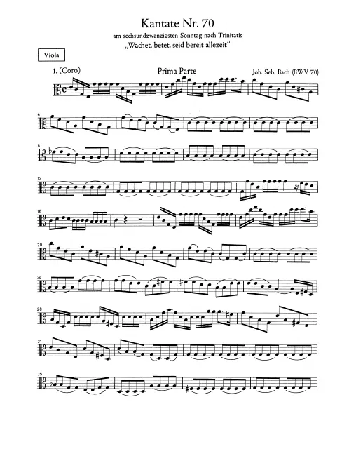 Violas