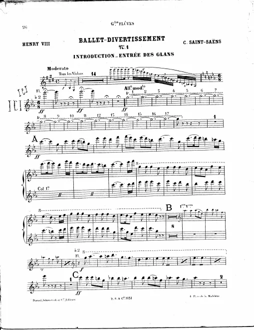 Flute 1/2, Piccolo