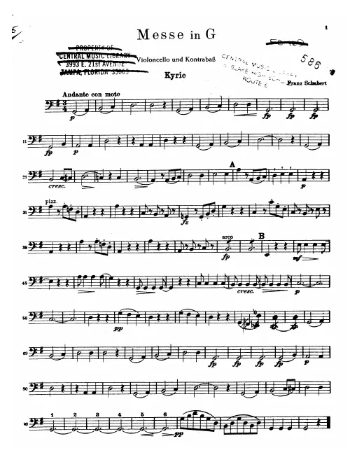 Cellos/Basses