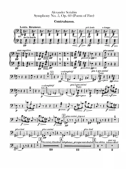 Basses
