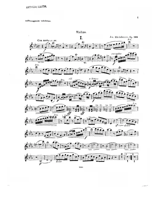 Violin