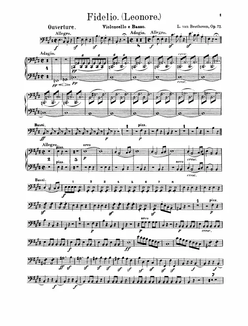 Cellos/Basses